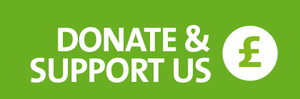 Donate to the Green Party